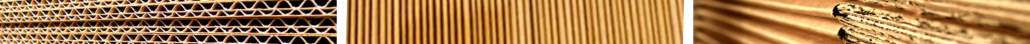 Header Bild